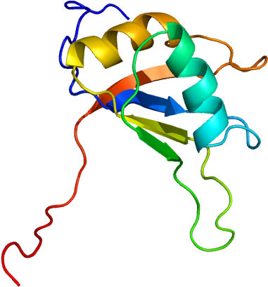 Structure Of The Cirbp Protein - Cirbp (430x458)