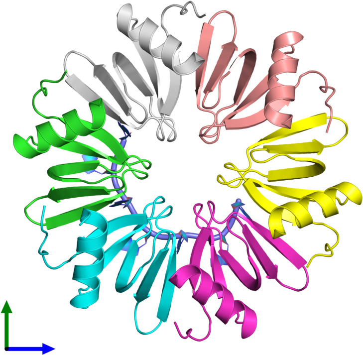 Pdb 3hsb Coloured By Chain And Viewed From The Front - Bracelet (800x800)