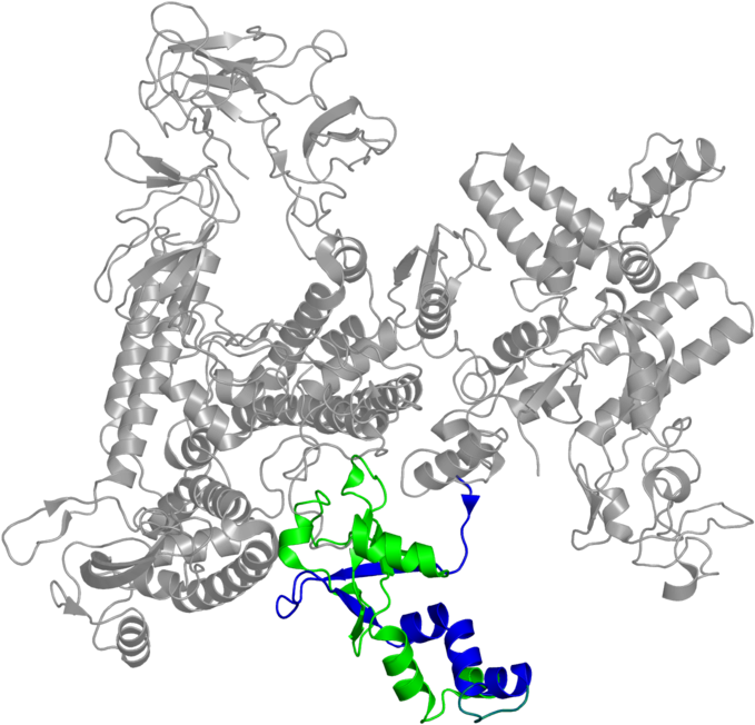 <div Class='caption-body'>2 Copies Of Pfam Domain - Illustration (800x800)