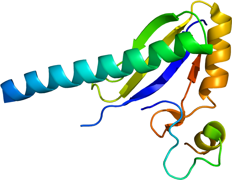 Small Protein Png (855x675)