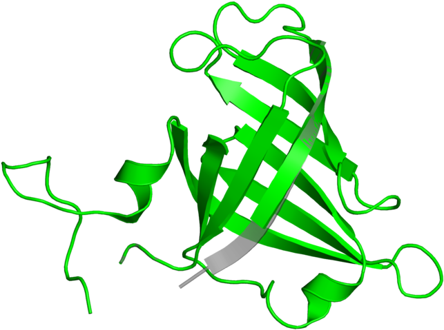 <div Class='caption-body'>1 Copy Of Pfam Domain - Graphic Design (800x800)