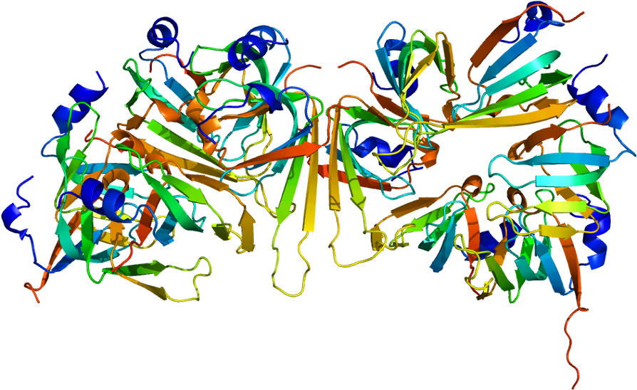 Housekeeping Genes (943x597)