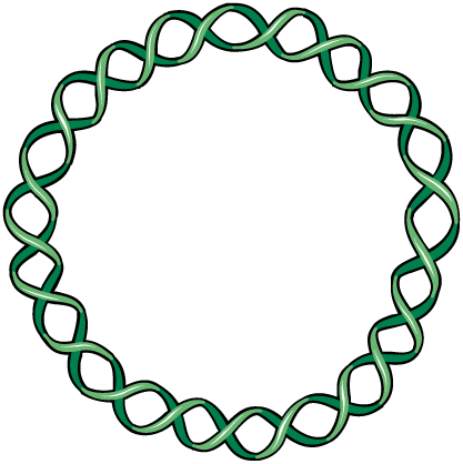 Plasmid - Bracelet (417x418)
