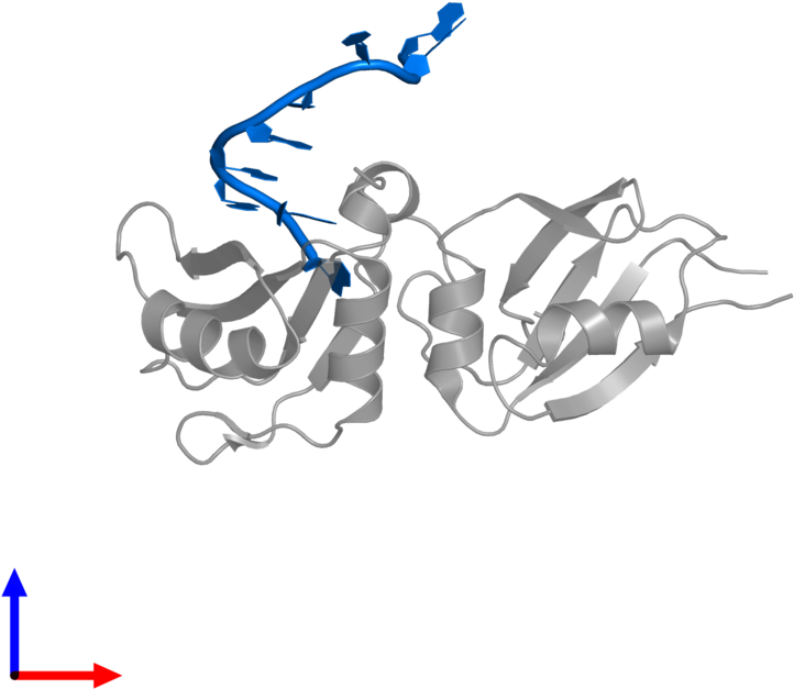 Pdb Entry 5wwe Contains 1 Copy Of Rna 3') In Assembly - Illustration (800x800)