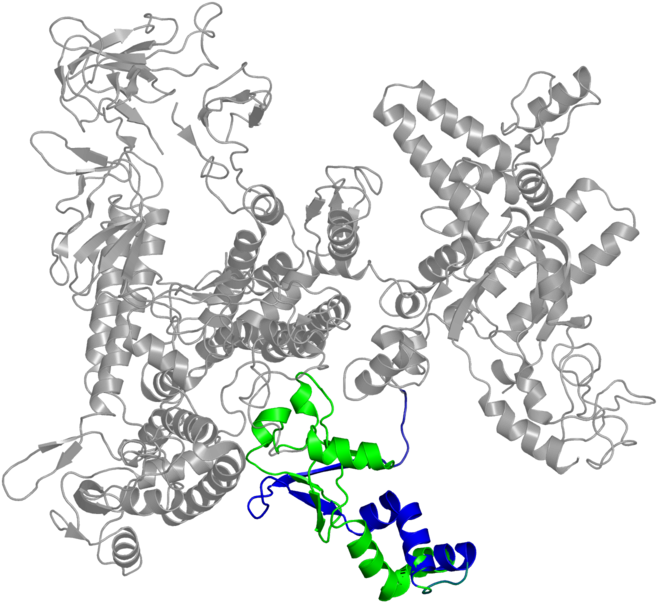 <div Class='caption-body'>2 Copies Of Pfam Domain - Illustration (800x800)