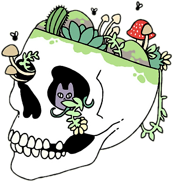 Skull Aesthetic Grunge Tumblr Plants Trippy Freetoedit - Skull Outline (572x602)