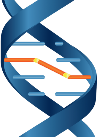 Controlled Reaction - Circulatory System (460x460)