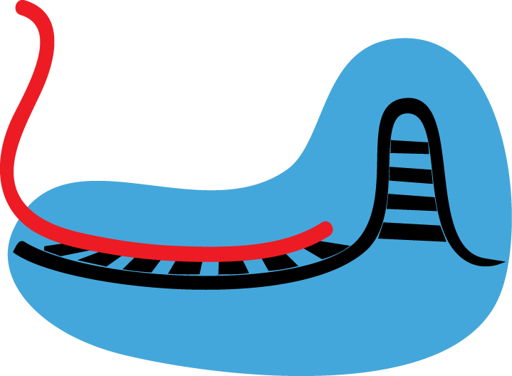 To Achieve High Specificity In Our Detection, We Use - Cees Dekker (719x528)