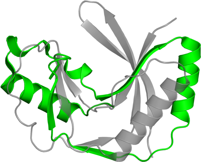 <div Class='caption-body'>1 Copy Of Pfam Domain - <div Class='caption-body'>1 Copy Of Pfam Domain (800x800)
