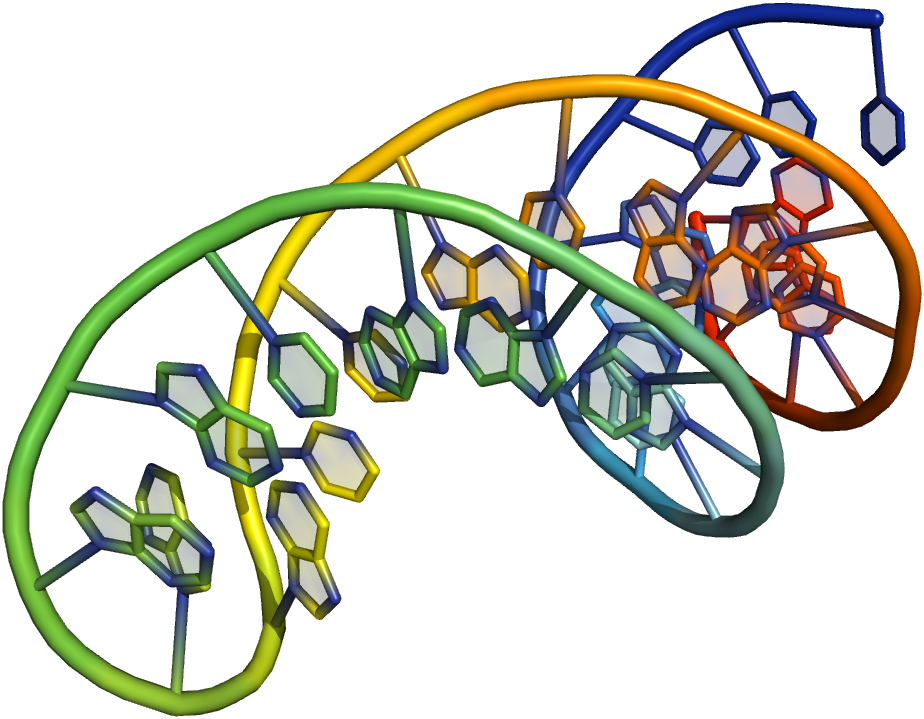 Rna Mediated - Synthetic Oligonucleotides (924x719)