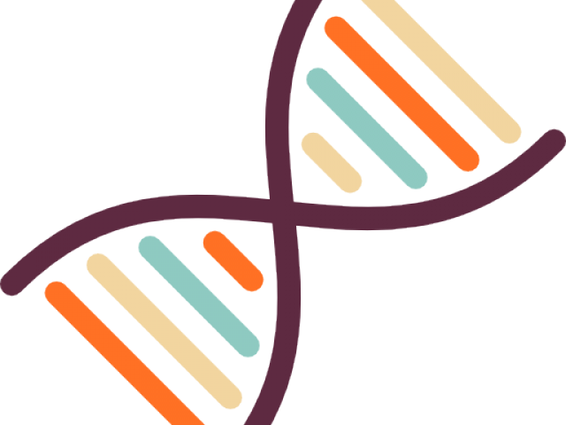 Dna Structure Clipart Clipart Transparent Background - Transparent Background Science Clipart (640x480)