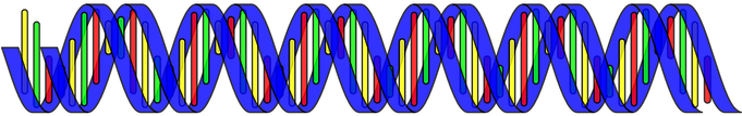 Dna Double Helix Science Rna Medical Biolo - Base Editing Dna (680x340)
