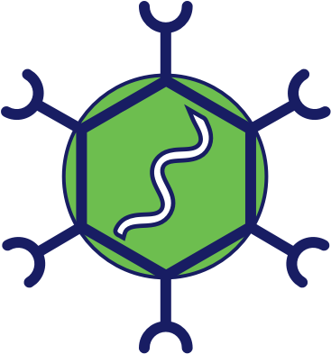 The Lentivirus Is An Enveloped Retrovirus Containing - Hub And Spoke Icon (380x400)