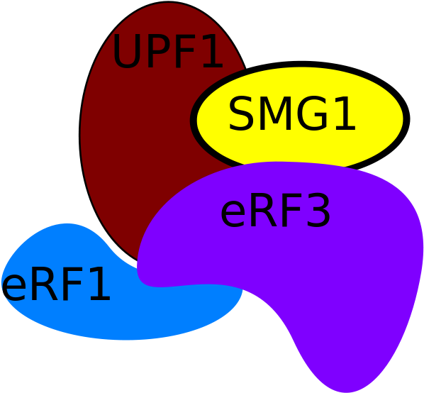 Protein Components - - Protein Components - (640x640)