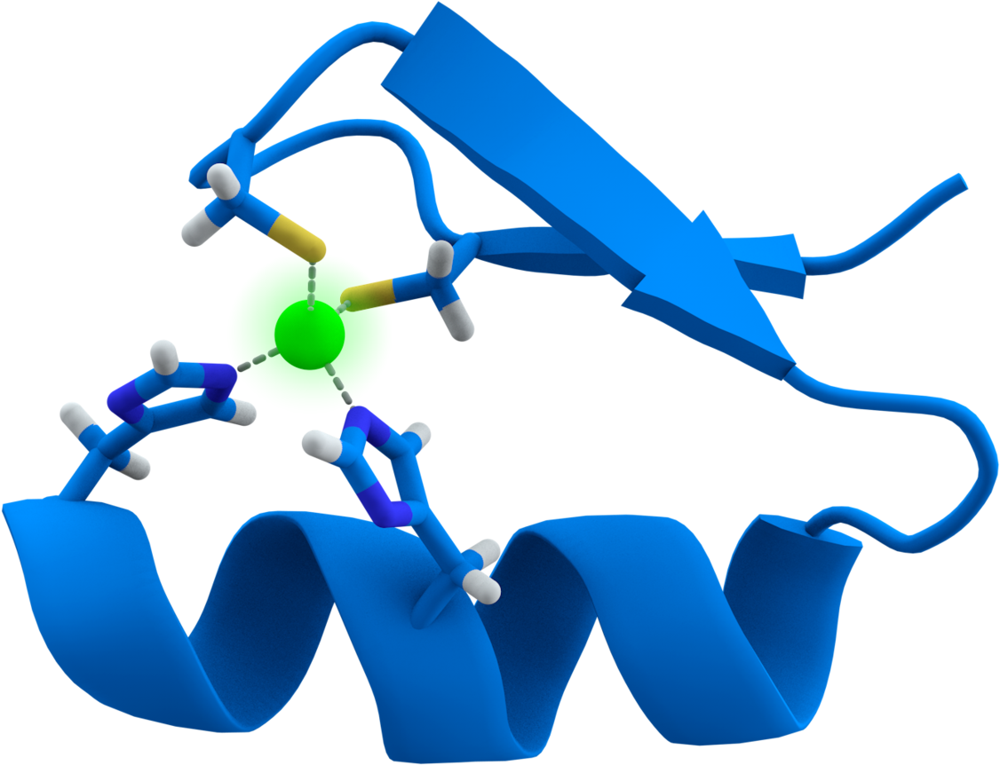 Zinc Finger Png (1420x1060)