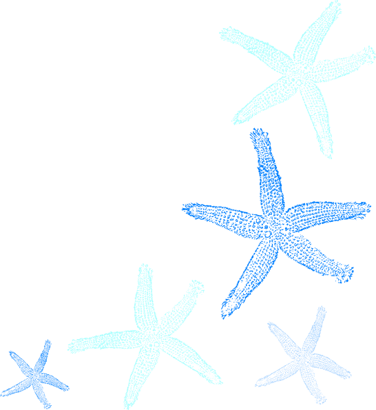 Blue Starfish Png - Clip Art (546x595)