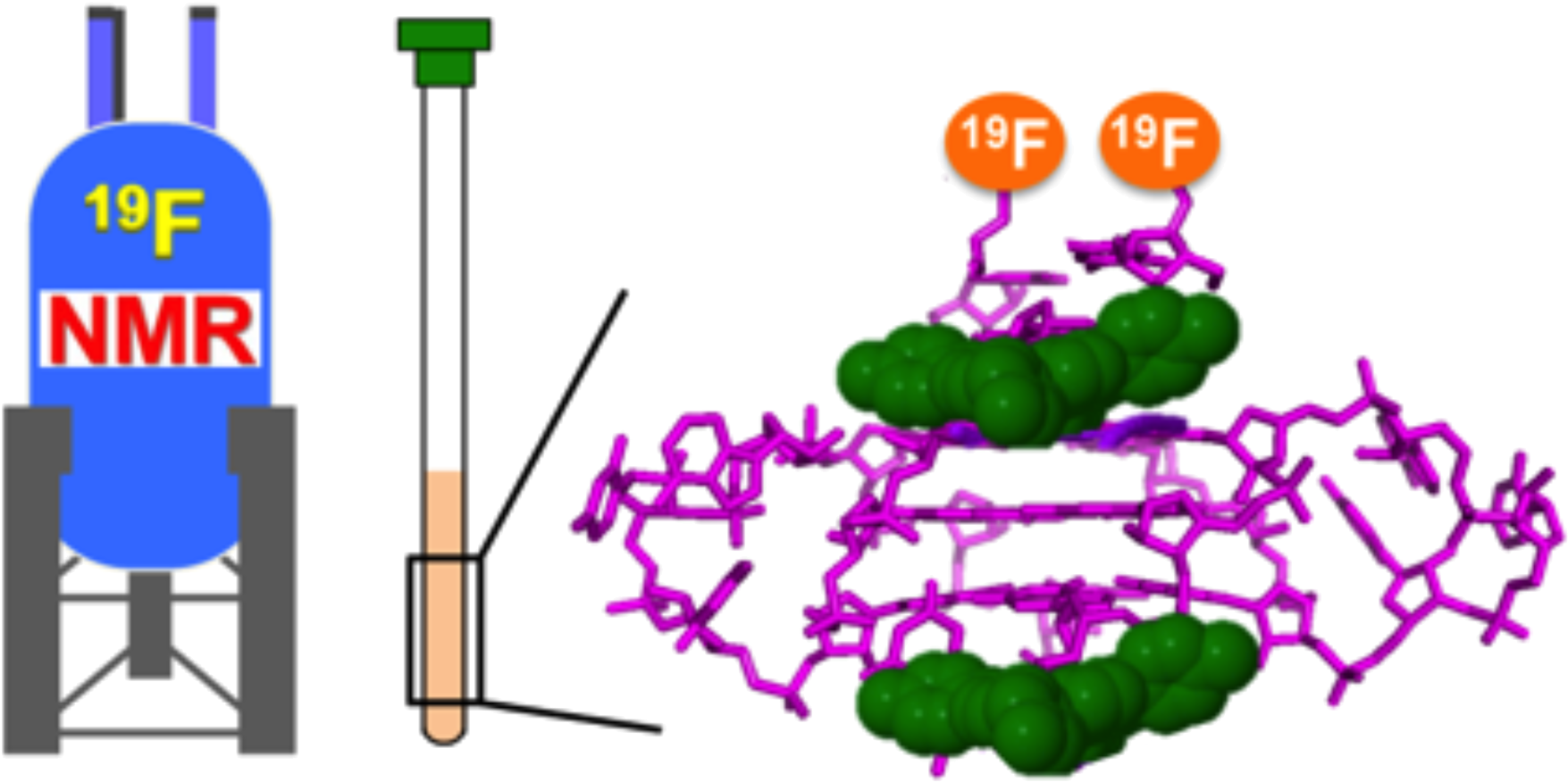 Selected As A " Cover Picture " - Selected As A " Cover Picture " (1770x883)