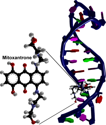 3000px Diagram Of Mitoxantrone Binding To Rna Based - Mitoxantrone (409x480)