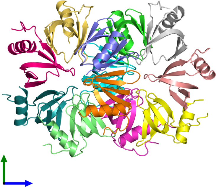 <div Class='caption-body'><ul Class ='image Legend - Graphic Design (800x800)