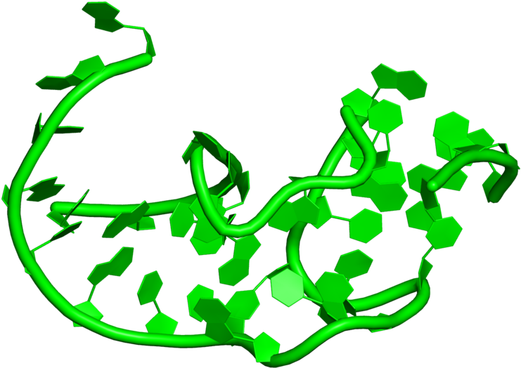 <div Class='caption-body'>1 Copy Of Rfam Domain < - <div Class='caption-body'>1 Copy Of Rfam Domain < (800x800)