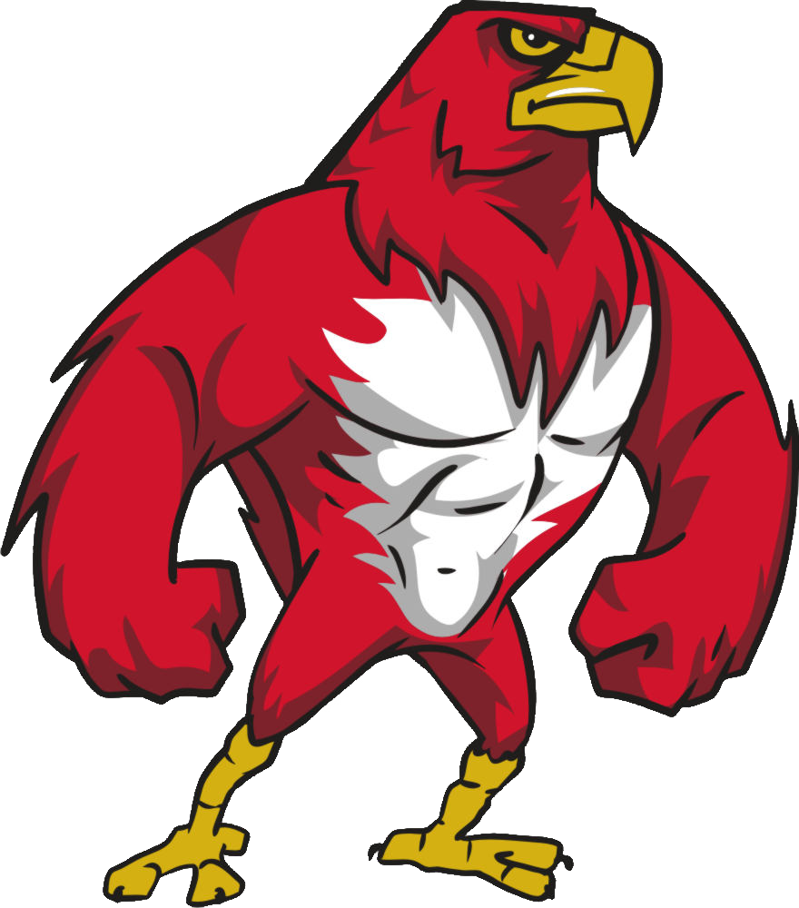 Best Of Jayhawk Clip Art Medium Size - Vandercook Lake High School (880x1000)