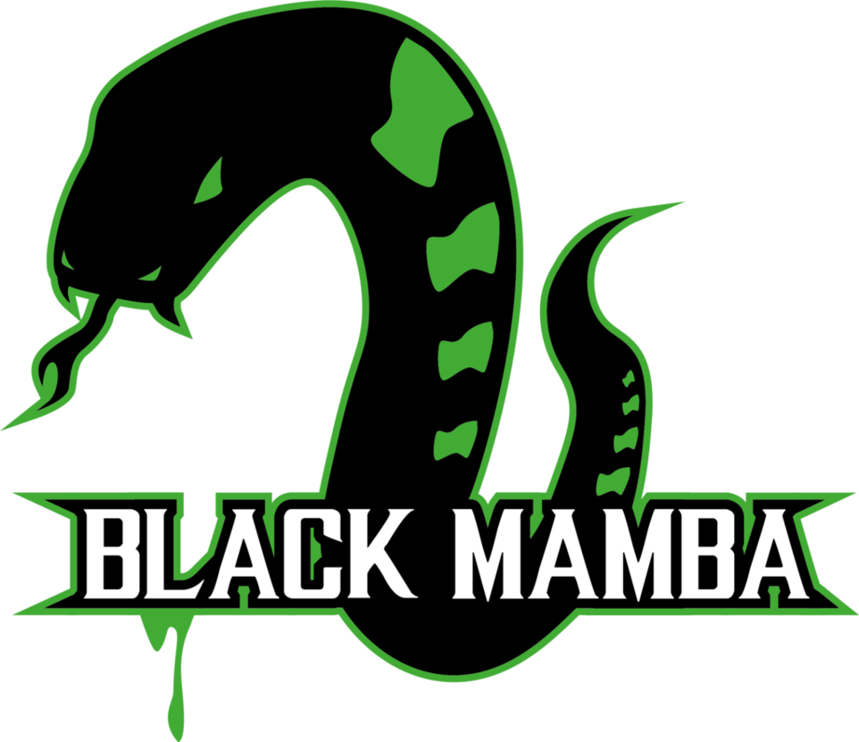 Black Mamba By Thenemetrix - Black Mamba (962x831)
