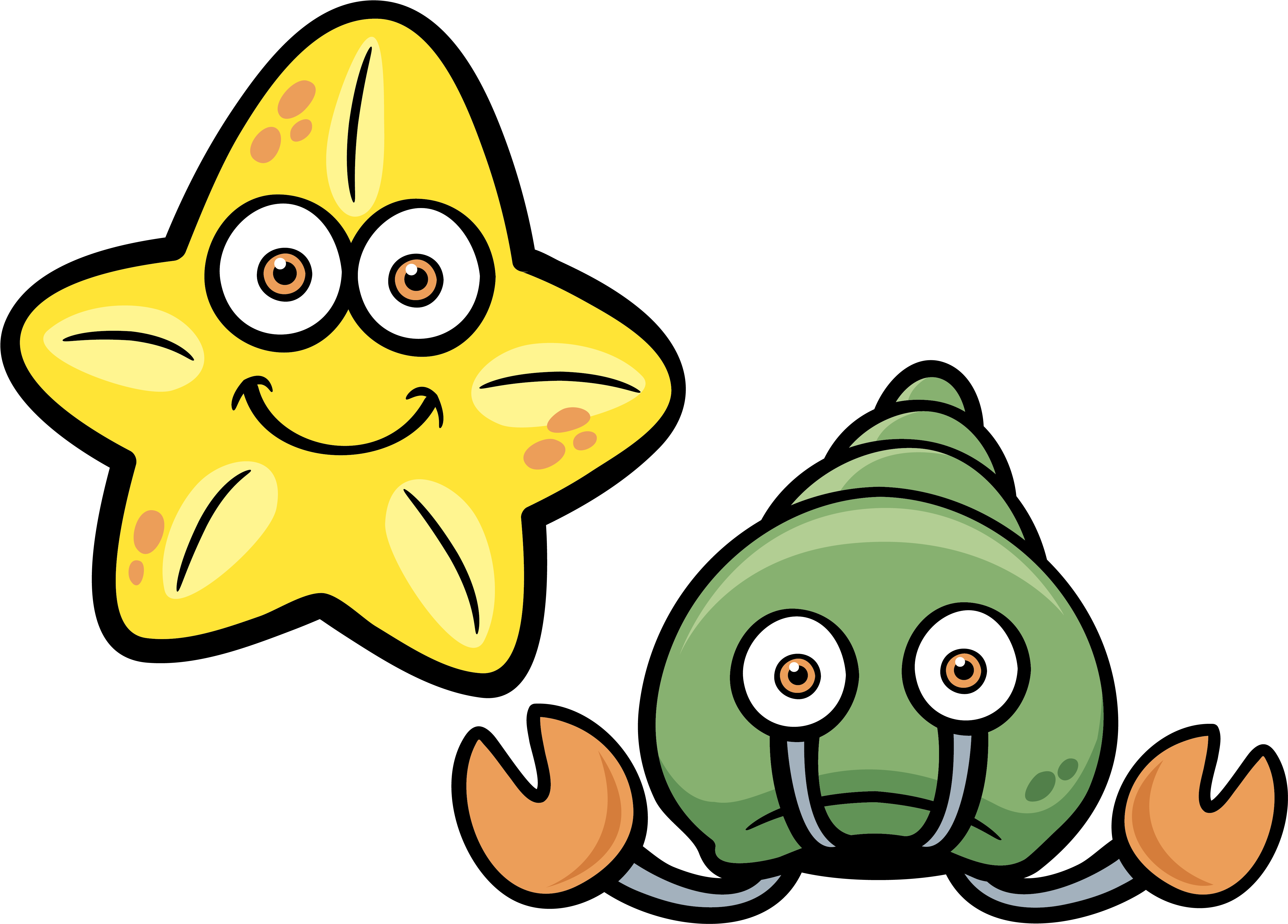 Vector Starfish Conch Material - Vector Starfish Conch Material (5683x4448)