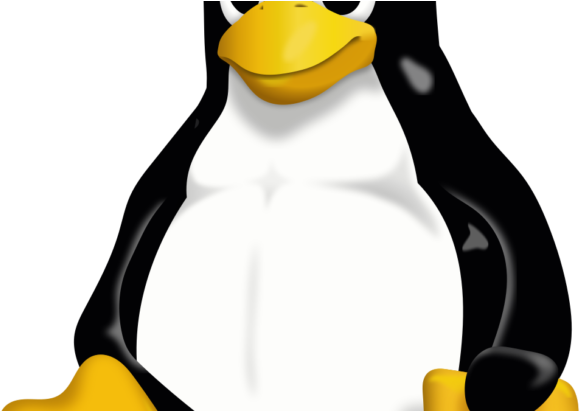 Basic Linux Commands - Linux: Questions And Answers [book] (730x410)