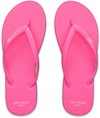 "flip Flops - Havaianas Brazil For Women (498x498)