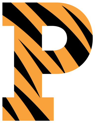 Princeton Tigers Football - Princeton Tigers Men's Basketball (500x500)