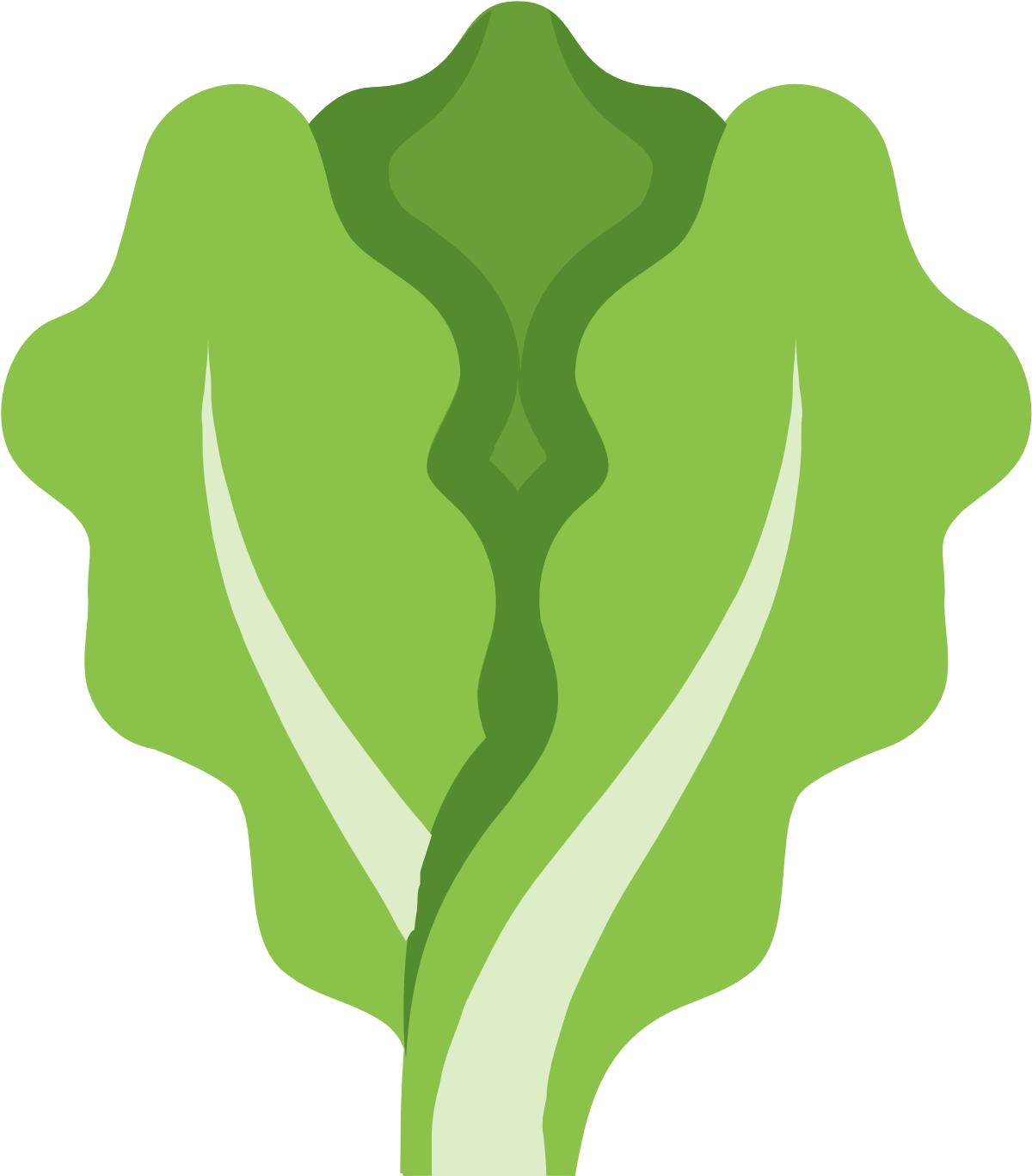 Lettuce Clipart Outline - Lettuce Icon (1600x1600)
