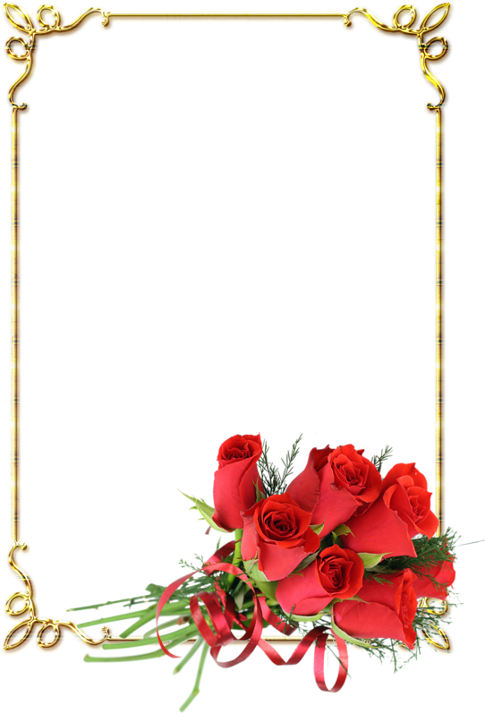 Picture Frame Clip Art - Picture Frame Clip Art (560x800)