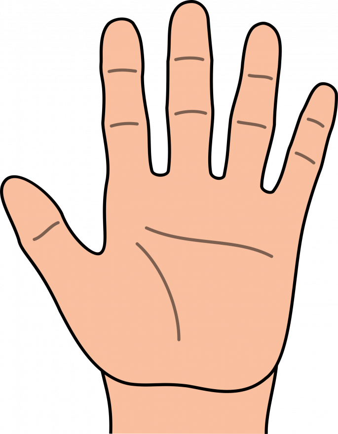 Learn What The Shape Of Your Hand Says About Your Personality - Clipart Hand (685x881)