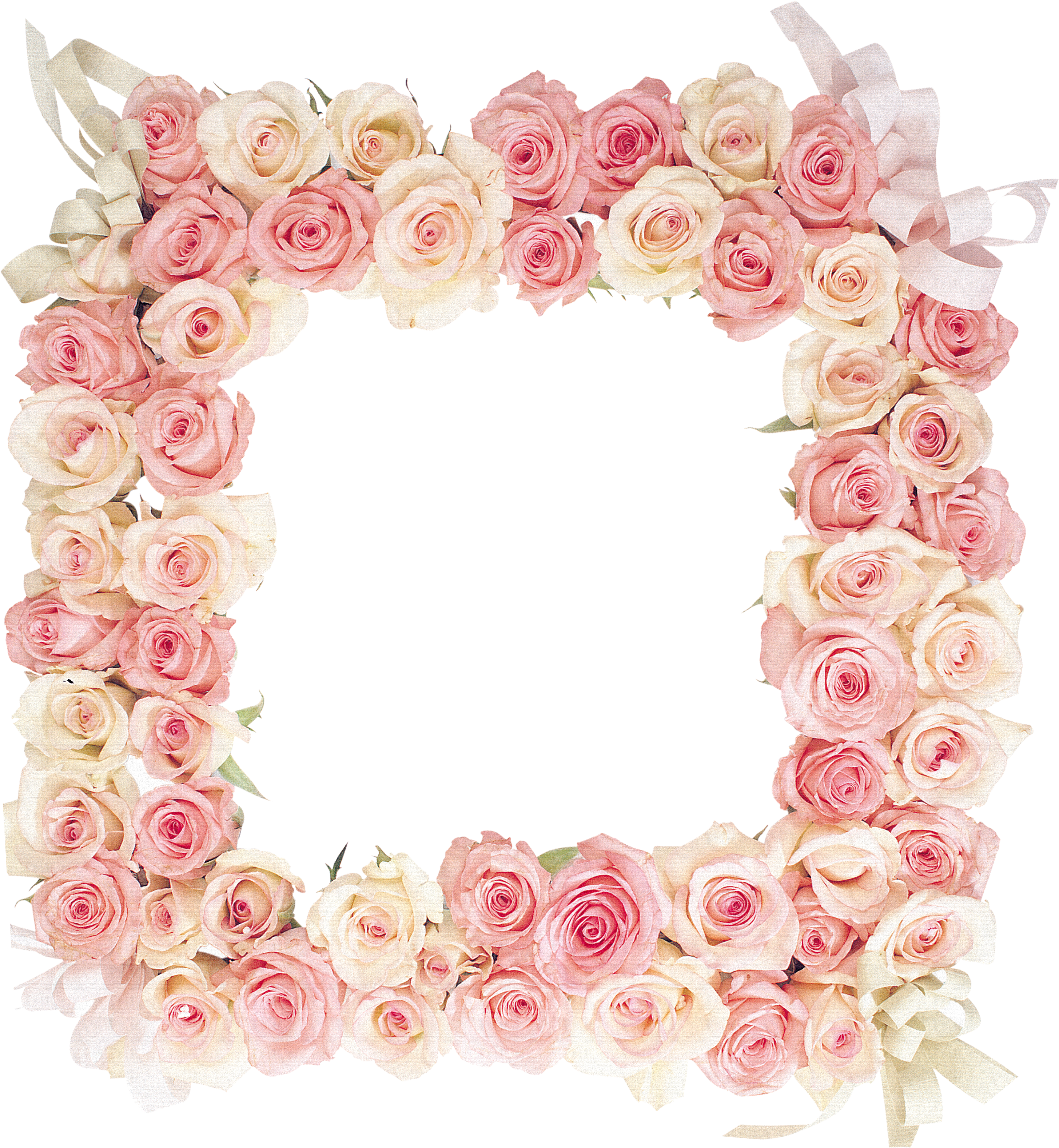 Picture Frame Flower - Frame Flower Hd Png (3000x3600)