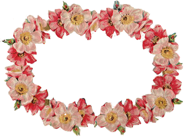 Free Vintage Image Wild Rose Frame - Rose (600x454)