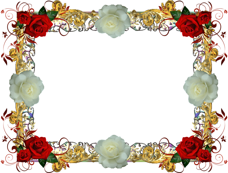 Red And White Rose Frame 1 By Lady1venus - Red Roses Greeting Cards (800x600)