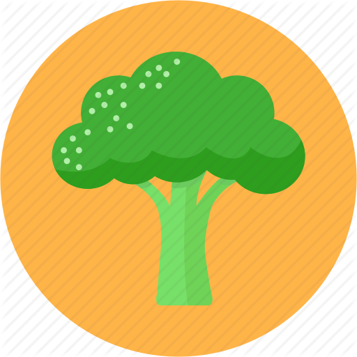 Food, Radish, Root, Vegetable Icon - Broccoli Icon (512x512)