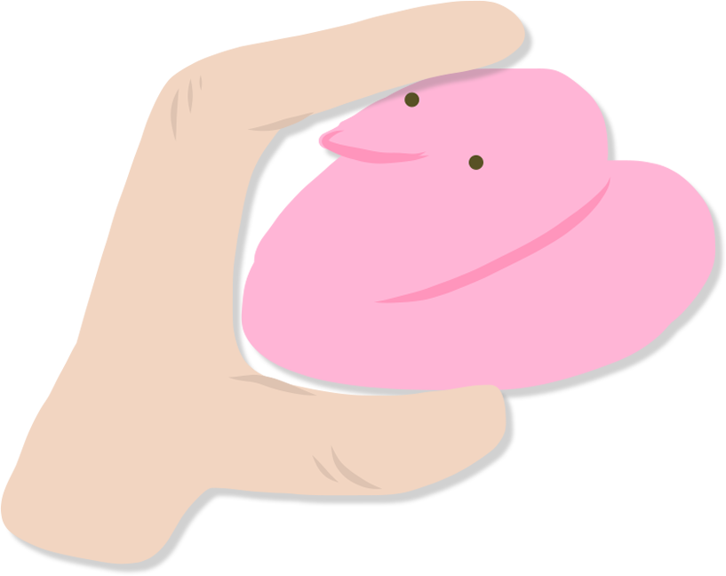 Alex Mcclelland - Portable Network Graphics (817x648)