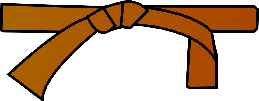 Et Voilà, Une Poignée D'élèves Ont Réussi À Obtenir - Rank In Judo (851x333)