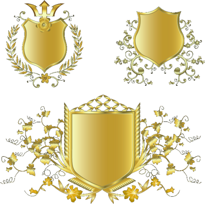 Antique Gold Frame Png Similiar Shield Designs Keywords - Shield With Design Png (400x397)