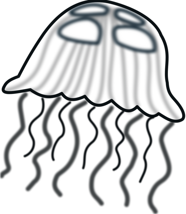 Jellyfish Clipart Black And White Bclipart Free Clipart - Clip Artjellyfish (609x700)