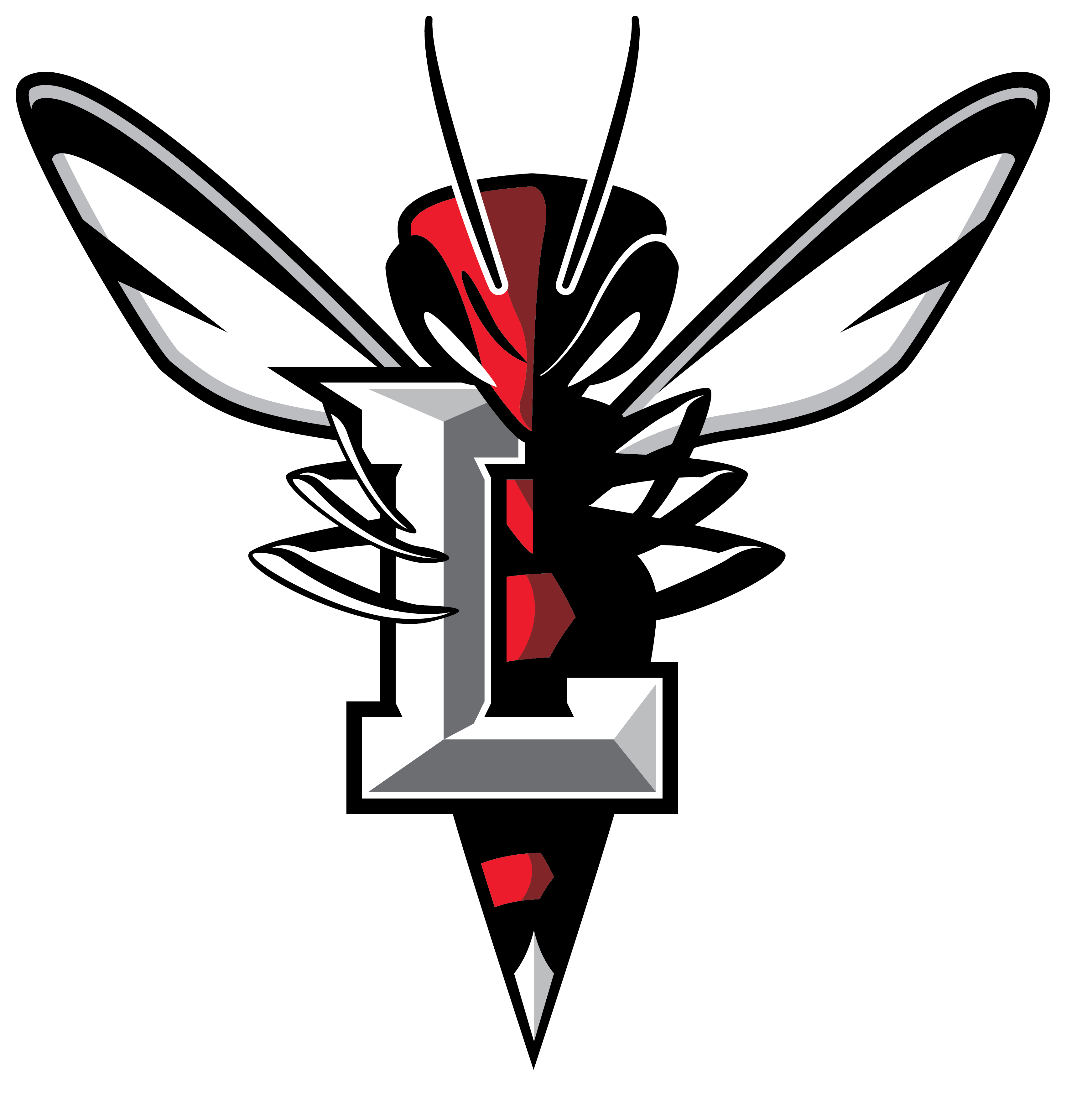 Lynchburg Hornets (3403x3575)