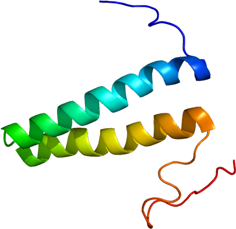 Protein Data Bank (524x510)