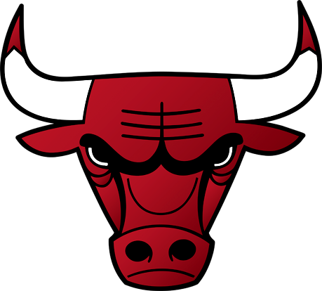 Chicago Bulls Logo 2018 (459x414)