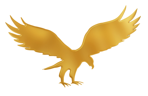 Gold Eagle Shield Logo Png 3231 Free Transparent Png - Gold Eagle Png (500x326)