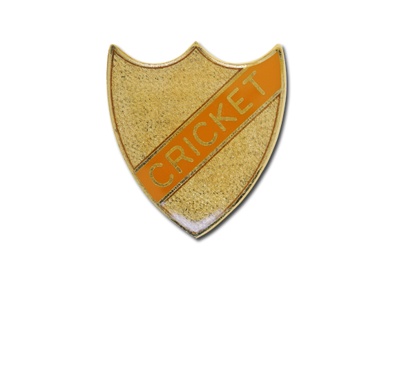 Cricket Small Enamelled Stripe Shield Badge - Cricket Small Enamelled Stripe Shield Badge Colour: (572x541)