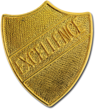 Excellence Metal Shield Badge - Shield Of Excellence 10 Studyladder (572x541)