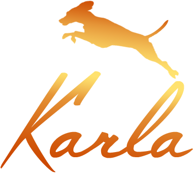 Stop Animal Cruelty - Basenji (376x364)