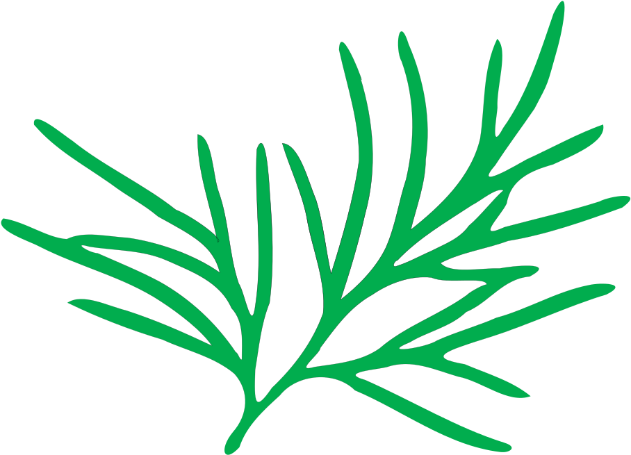 Wikimedia Commons (1024x729)