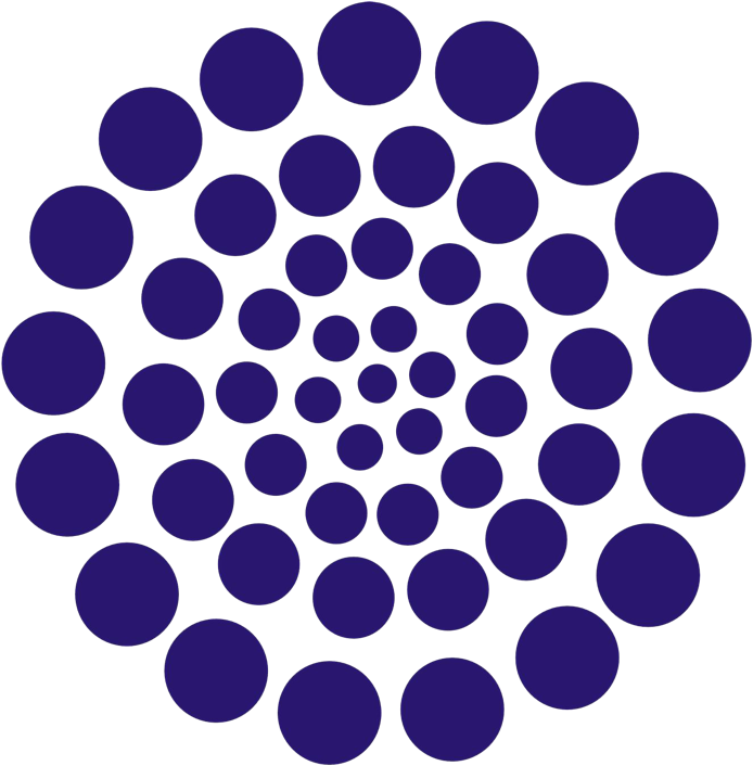 Redes Temáticas De Investigación Del Consejo Nacional - Consejo Nacional De Ciencia Y Tecnología (943x736)